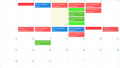 WordPress Randevu Rezervasyon Eklentisi İndir 2024